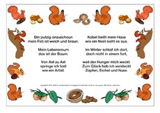 Eichhörnchen-Rätselreim.pdf